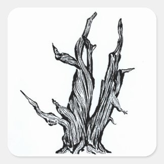 Pegatina Cuadrada Bristlecone Pine