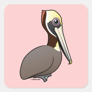 Pegatina Cuadrada Brown Pelican