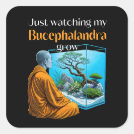 Pegatina Cuadrada Bucephalandra Zen – A Meditative Aquascaping