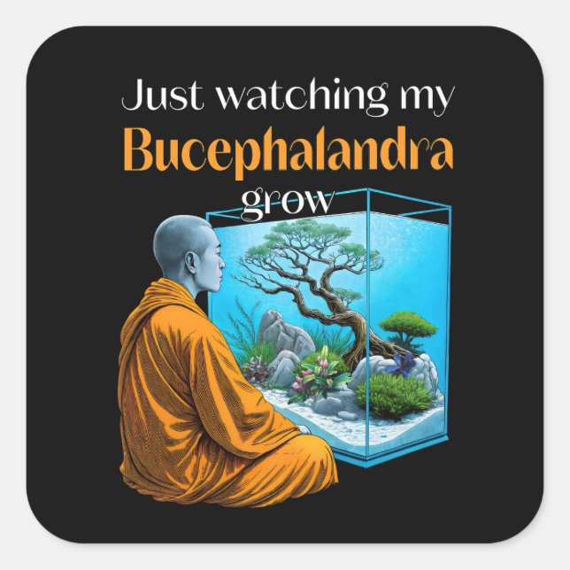 Pegatina Cuadrada Bucephalandra Zen – A Meditative Aquascaping (Anverso)