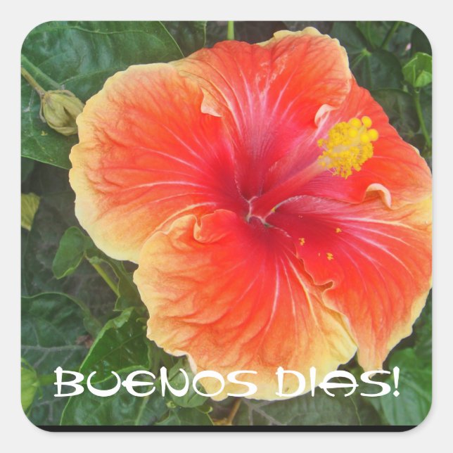 Pegatina Cuadrada Buenos días (Anverso)