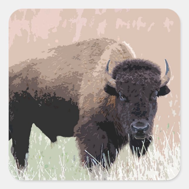Pegatina Cuadrada Búfalo / Bison (Anverso)