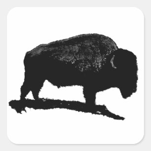 Pegatina Cuadrada Búfalo blanco y negro