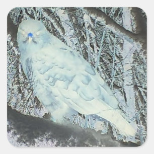 Pegatina Cuadrada Búho fantasmagórico en rama vida silvestre de Hall