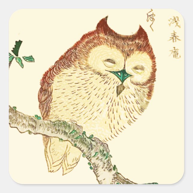 Pegatina Cuadrada Búho japonés pequeño (Anverso)