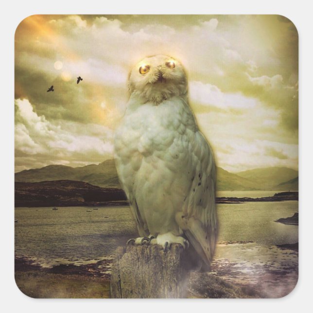 Pegatina Cuadrada Búho místico (Anverso)