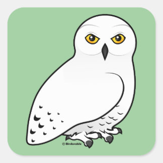 Pegatina Cuadrada Búho Snowy Birdorable