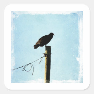 Pegatina Cuadrada Buitre