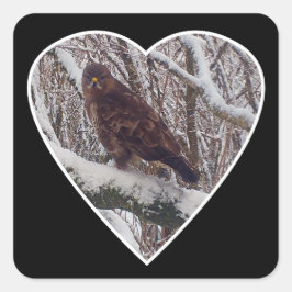 Pegatina Cuadrada Buitre en Rama Nevada Arte de la Naturaleza Corazó