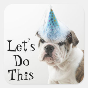 Pegatina Cuadrada Bulldog Británico Con Un Gorra Fiesta