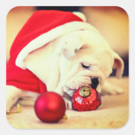 Pegatina Cuadrada BULLDOG con sombrero Santa