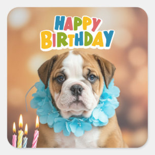 Pegatina Cuadrada Bulldog de cumpleaños