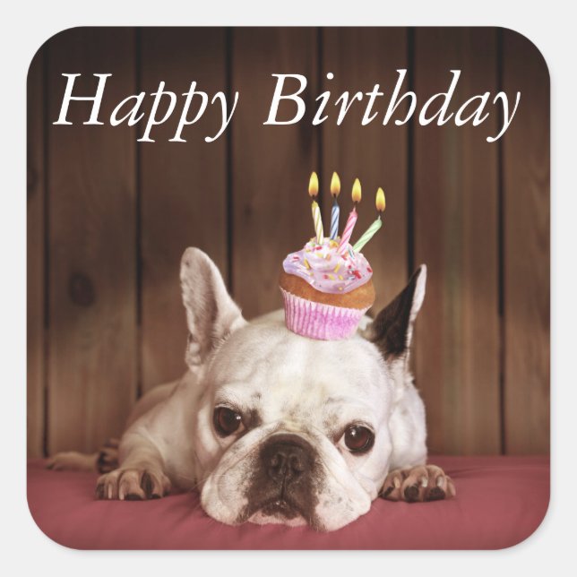 Pegatina Cuadrada Bulldog Francés Con Pastel De Cumpleaños (Anverso)
