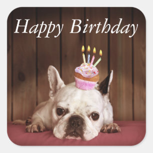 Pegatina Cuadrada Bulldog Francés Con Pastel De Cumpleaños