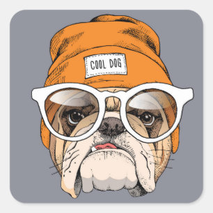 Pegatina Cuadrada Bulldog fresco del inconformista