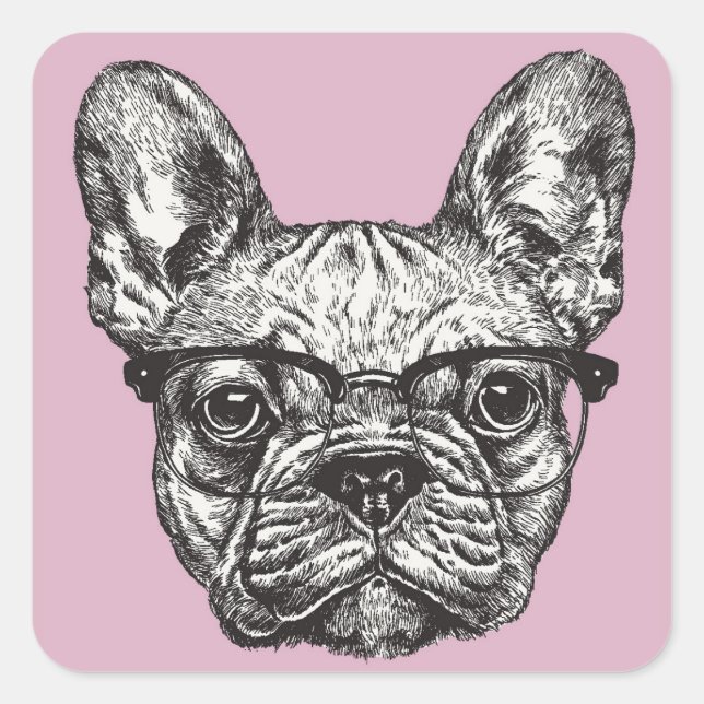 Pegatina Cuadrada Bulldog Hipster (Anverso)