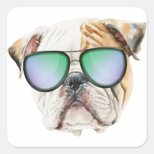 Pegatina Cuadrada Bulldog inglés lindo con gafas de sol, perrito gra
