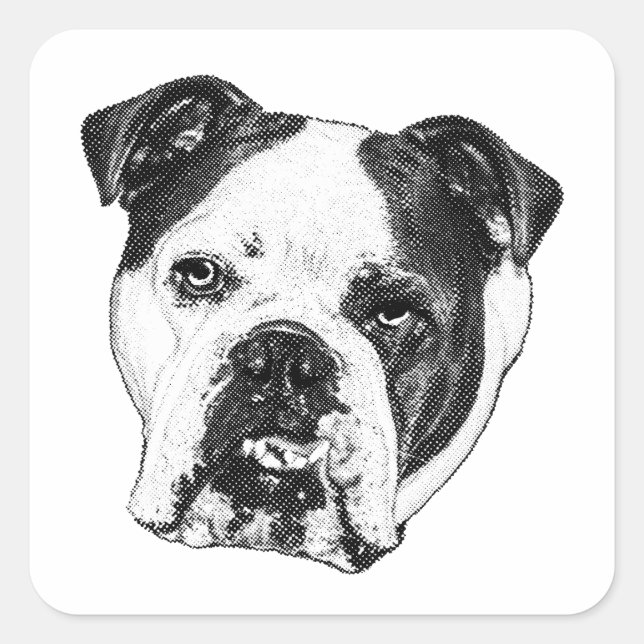 Pegatina Cuadrada Bulldog Marca de Paquete (Anverso)