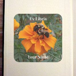 Pegatina Cuadrada Bumblebees on Marigold Bookplate