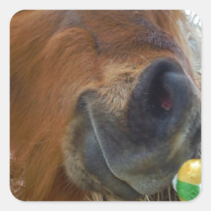 Pegatina Cuadrada Bunny de Pascua y caballo marrón