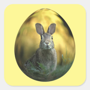 Pegatina Cuadrada Bunny On Egg