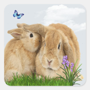 Pegatina Cuadrada Bunny rabbitt
