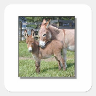Pegatina Cuadrada Burro y bebé