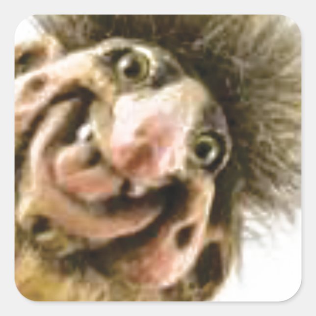 Pegatina Cuadrada Busta Troll (Anverso)