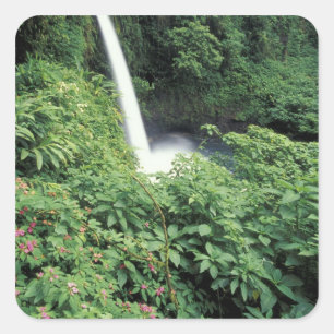 Pegatina Cuadrada CA, Costa Rica. Cascada La Paz y balsaminas