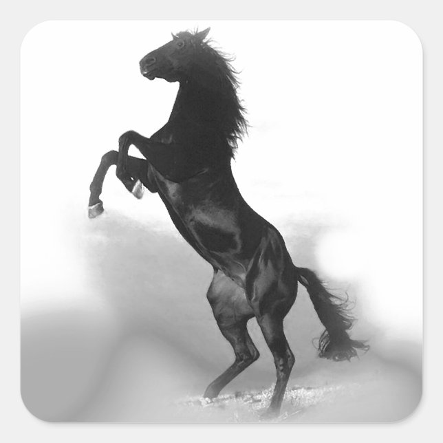 Pegatina Cuadrada Caballo (Anverso)