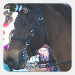 Pegatina Cuadrada Caballo árabe marrón oscuro con gafas