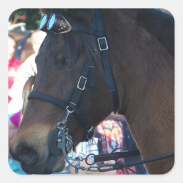 Pegatina Cuadrada Caballo árabe marrón oscuro con gafas