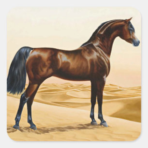 Pegatina Cuadrada Caballo árabe - William Barraud
