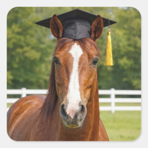 Pegatina Cuadrada Caballo con gorra de graduación