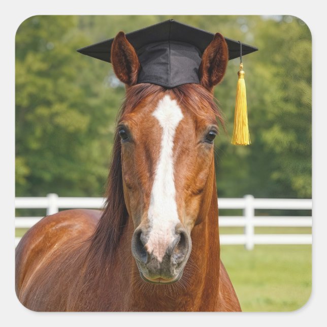 Pegatina Cuadrada Caballo con gorra de graduación (Anverso)