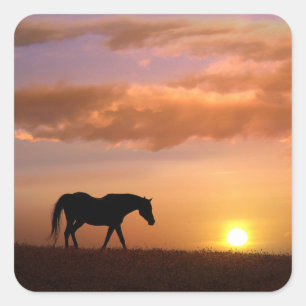 Pegatina Cuadrada Caballo de bonito en los Pegatinas al atardecer