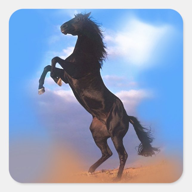 Pegatina Cuadrada Caballo de cría (Anverso)