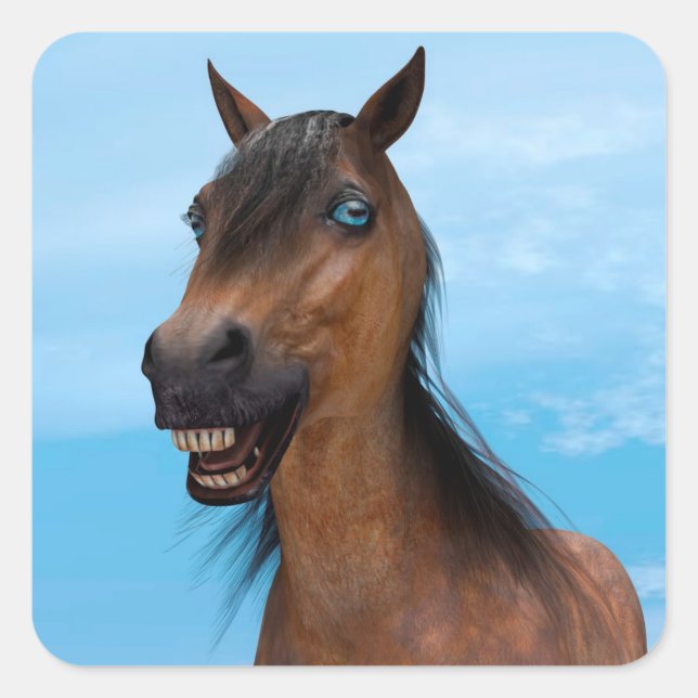 Pegatina Cuadrada Caballo Feliz (Anverso)