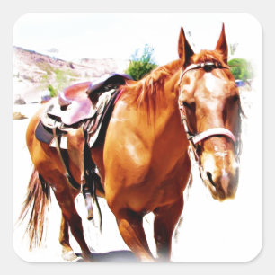 Pegatina Cuadrada Caballo Lover_