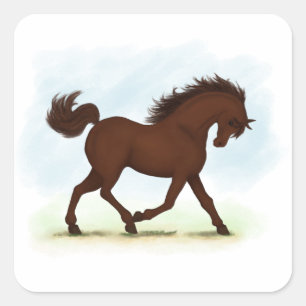 Pegatina Cuadrada Caballo marrón castaño ecuestre