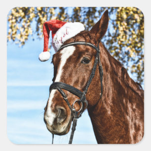 Pegatina Cuadrada Caballo navidad con gorra