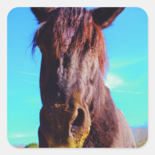 Pegatina Cuadrada Caballo púrpura con boca verde