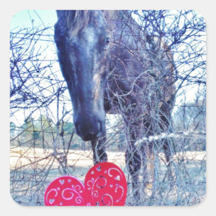 Pegatina Cuadrada Caballo y corazón