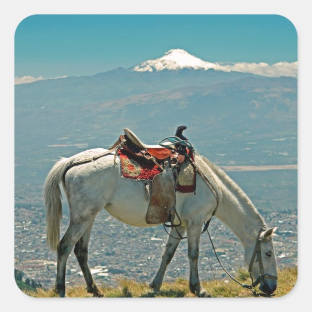 Pegatina Cuadrada Caballo y volcán, Quito, Ecuador (Anverso)