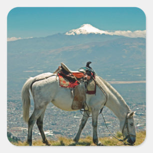Pegatina Cuadrada Caballo y volcán, Quito, Ecuador