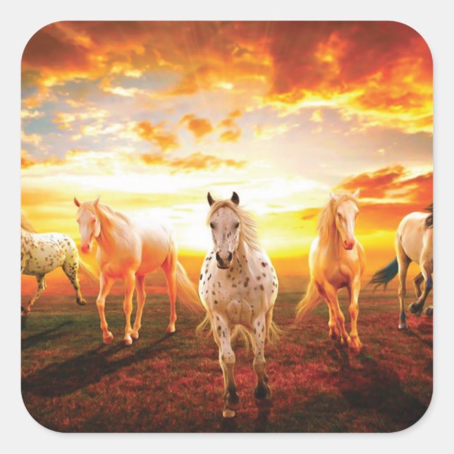 Pegatina Cuadrada Caballos al atardecer lanzando almohada (Anverso)