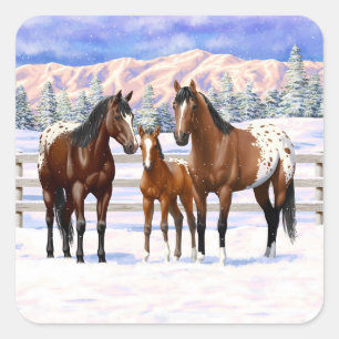 Pegatina Cuadrada Caballos Appaloosa De La Bahía Marrón En Nieve