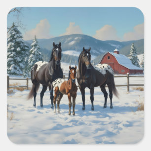 Pegatina Cuadrada Caballos Appaloosa negros en una granja en inviern