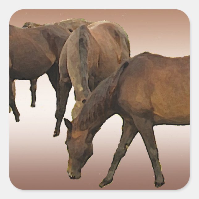 Pegatina Cuadrada Caballos de afeitar (Anverso)