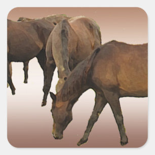 Pegatina Cuadrada Caballos de afeitar